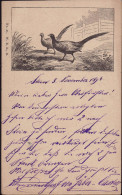 Fasane 1898 - Oiseaux