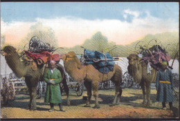 * Russische Typen Aus Zentralasien Transport Landwirtschaftlicher Maschinen - Europa