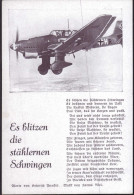 * Es Blitzen Die Stählernen Schwingen - Guerre 1939-45