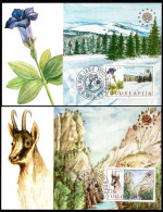 Yugoslavia 1983 -  European Nature Conservation - Chamois - Maximum Card - Lettres & Documents