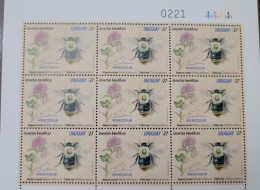 O) 2021 URUGUAY, TRIFOLIUM PRATENSE BOMBUS BELLICOSUS, BUMBLEBEE - INSECT, BENEFICIAL INSECT, BEE. POLLINATOR INSECT, - Uruguay