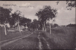 Gest. O-2385 Zingst A Darß Landstraße Nach Prerow 1913 - Barth