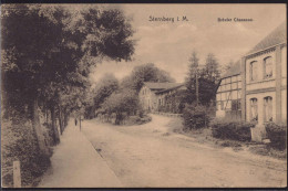 Gest. O-2720 Sternberg Brüeler Chaussee 1919 - Sternberg