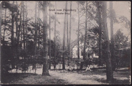 Gest. O-3240 Neuhaldensleben Papenberg Gasthaus Wilhelmberg 1911, Min. Best. - Haldensleben