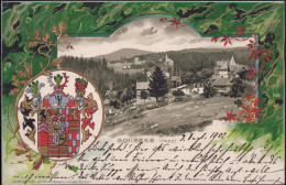Gest. O-3703 Schierke Blick Zum Ort, Wappen-Prägekarte 1902 - Wernigerode