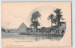 16455 EGYPT BORD DU NIL ET PALMIERS - Pyramides