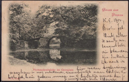 Gest. O-4500 Dessau Hornzackenbrücke Im Georgium 1900, Briefmarke Entfernt - Dessau