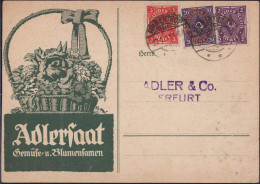 Gest. O-5000 Erfurt Gemüse Und Blumensamen Adlersaat 1923 - Erfurt