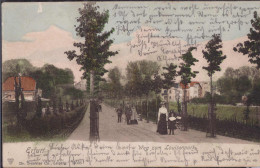 Gest. O-5000 Erfurt Weg Zum Louisenpark 1904, Rep. Einriß 3 Cm - Erfurt