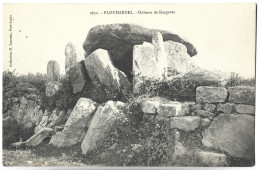 PLOUHARNEL - Dolmen De Kergavat - Dolmen & Menhire