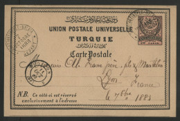 Carte Entier Postal 20 P Obl C. à D.  CONSTANTINOPLE - GALATA DEPART 7/10/83 Pour Lyon TB - Cartas & Documentos