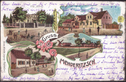 Gest. O-7295 Mehderitzsch Post Gasthaus Wasserwerk 1905 - Torgau