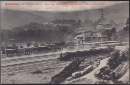 Gest. O-9295 Wechselburg Blick Von Schützenhaus Auf Bahnhof 1909 - Rochlitz