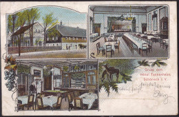 Gest. O-9655 Schöneck Gasthaus Hotel Tannenhaus 1906 - Klingenthal