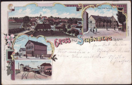 Gest. W-2306 Schönberg Ackerbauschule Bahnhof Gasthaus Stadt Hamburg 1898, Briefmarke Entfernt - Kiel