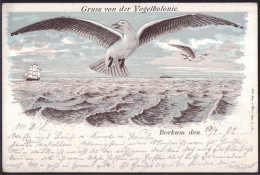 Gest. W-2972 Borkum Gruss Von Der Vogelkolonie 1902, EK 1,2cm - Emden