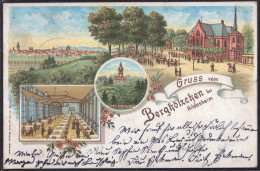 Gest. W-3200 Hildesheim Gasthaus Berghölzchen 1899 - Hildesheim