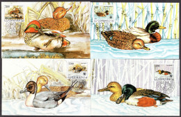 Yugoslavia 1989 - WWF -  World Wildlife Fund - Birds - Duck - Maximum Card - Cartas & Documentos
