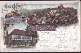 Gest. W-4505 Freudenthal Bei Iburg Gasthaus Forsthaus 1900, Briefmarke Entfernt - Osnabrueck
