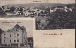 Gest. W-5415 Nauort Gasthaus Freisberg 1918, Briefmarke Entfernt - Hoehr-Grenzhausen