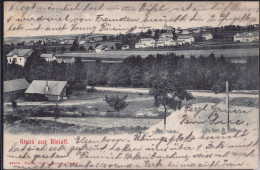 Gest. W-5542 Bleialf Blick Zum Ort 1906 - Prüm