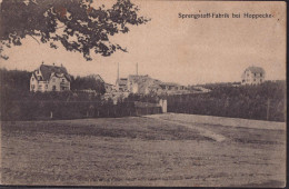 Gest. W-5790 Hoppecke Sprengstofffabrik, Feldpost 1917, Min. Best. - Brilon