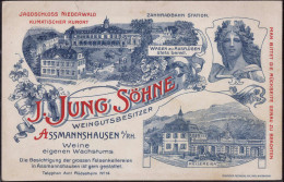 * W-6220 Assmannshausen Kellerei Jung Und Söhne, Reklamekarte Keine AK - Ruedesheim A. Rh.