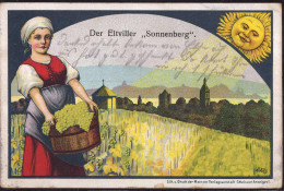 Gest. W-6228 Eltville Sonnenberg, Feldpost 1917, Min. Best. - Ruedesheim A. Rh.