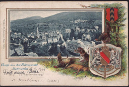 Gest. W-7847 Badenweiler Blick Zum Ort, Wappen-Prägekarte 1900, Briefmarke Entfernt - Müllheim