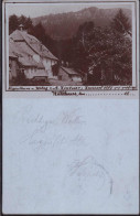 Gest. W-8372 Zwiesel Gasthaus Waldhaus 1897 - Regen