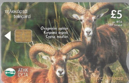 CARTE²°-PUCE-Sa2-CHYPRE5£-04/02-R° MOUFLONS-V°RENARD-TBE- - Peces