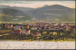 Gest. Schönpriessen Blick Zum Ort 1902 - Schlesien