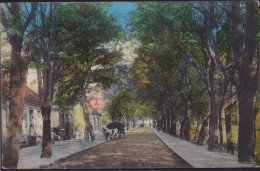 Gest. Crossen Ost-Brandenburg Allee Am Bahnhof, Feldpost 1916 - Westpreussen