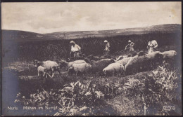 * Nuris Mähen Im Sumpf, Karte Des Jüdischen Nationalfonds, Dieser Kaufte Die Erste Tschechoslowakische Kolonie In Paläst - Palästina