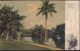 Gest. Singapur Botanischer Garten 1906 - Singapur