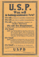 USP-Wahlflugblatt A4 - Non Classificati