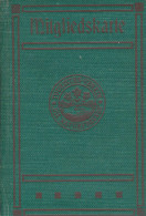 Mitgliedskarte Naturfreunde Schmiedeberg Bez. Dresden Mit Beitragsmarken 1925-1932, Selten! - Zonder Classificatie