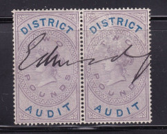 GB Victoria Fiscal/ Revenue District Audit £2 Lilac And Blue Barefoot 9 Good Used Pair - Fiscale Zegels