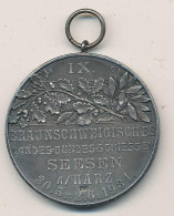 Medaille Braunschweig Landesschießen 1931 In Seesen, 990 Ag. D 40 Mm - Otros & Sin Clasificación