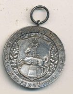 Medaille Königsschießen Wolfenbüttel 1927, Ag D 34mm - Sonstige & Ohne Zuordnung