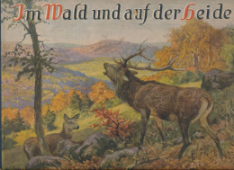 Im Wald Und Auf Der Heide, Harpapp-Kinderbuch 12 Seiten Mit Bildern Von W. Schacht, Ecken Best. - Other & Unclassified