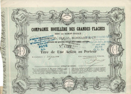 Titre De 1884 - Compagnie Houillère Des Grandes-Flaches Sous La Raison Sociale Bethenod, Bonnard & Cie - Déco - Mineral