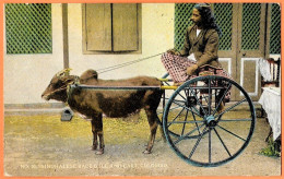 CPA SRI LANKA (CEYLON) - COLOMBO - Singhalese Race Bull And Cart (voir état) * Attelage De Boeuf - Sri Lanka (Ceylon)