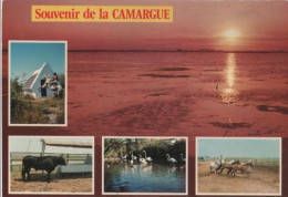 98787 - Frankreich - Camargue - 1989 - Sonstige