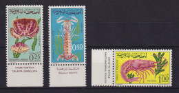 Marokko 1965 Meerestiere Mi-Nr. 553-555 Unterrandstücke Postfrisch ** - Marruecos (1956-...)