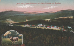 7189 - Ober-Schierke - Blick V. Scharcherklippe - Ca. 1925 - Schierke