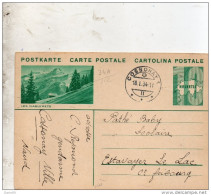 1934 CARTOLINA POSTALE - Stamped Stationery