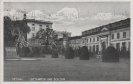 8614 - Dessau - Lustgarten Und Schloss - Ca. 1935 - Dessau