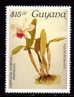 GUYANA - 1988 REICHENBACHIA ORCHIDS 29th ISSUE PLATE 67 SERIES 2 FINE MNH ** SG 2318 - Guyane (1966-...)