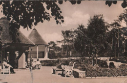 60034 - Kühlungsborn - Konzertgarten - 1962 - Kuehlungsborn